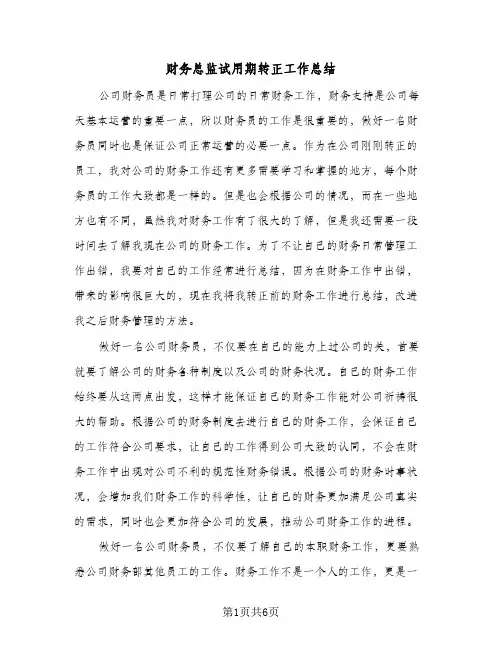 财务总监试用期转正工作总结（3篇）