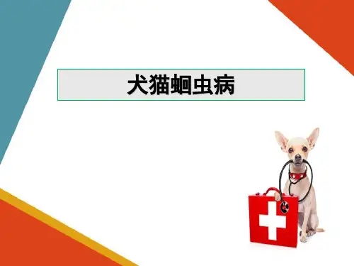 宠物寄生虫病防治—犬猫线虫病的诊断与防治