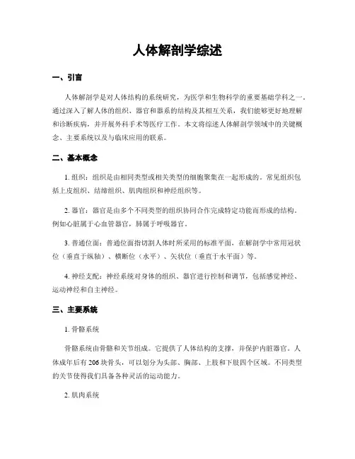 人体解剖学综述