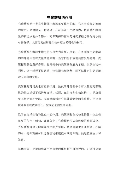 壳聚糖酶的作用