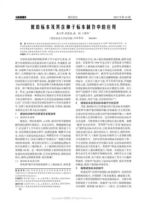 琥珀标本及其在种子标本制作中的应用