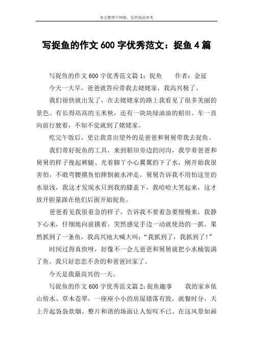 写捉鱼的作文600字优秀范文：捉鱼4篇