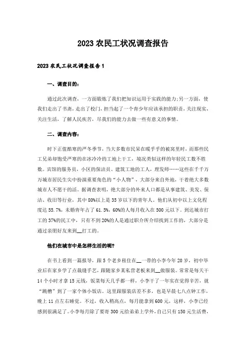 2023农民工状况调查报告