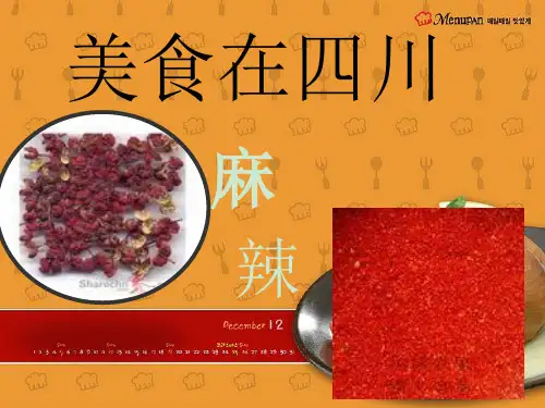 美食在四川 ppt课件