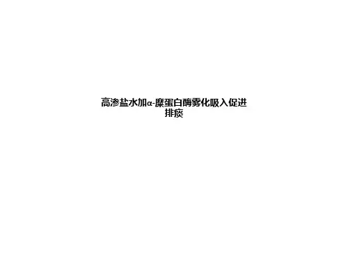 高渗盐水加α-糜蛋白酶雾化吸入促进排痰ppt课件