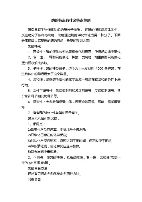 酶的特点有什么特点性质