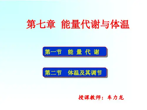 7.能量代谢与体温