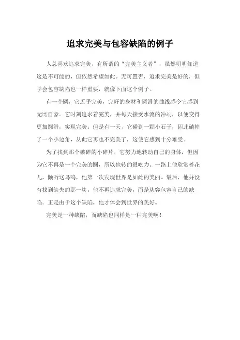 追求完美与包容缺陷的例子