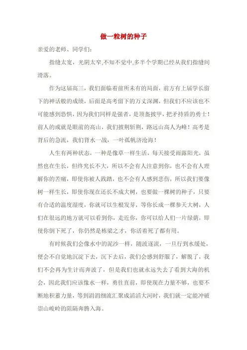 《做一粒树的种子》国旗下演讲