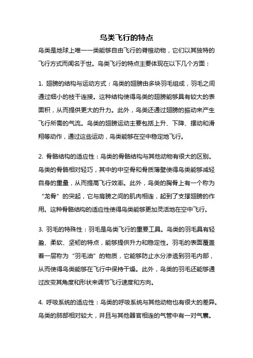 鸟类飞行的特点