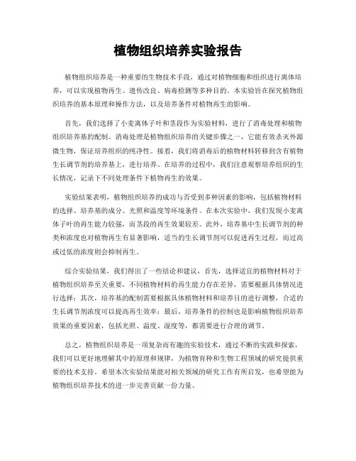 植物组织培养实验报告