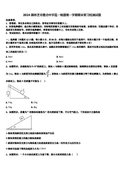 2024届林芝市重点中学高一物理第一学期期末复习检测试题含解析