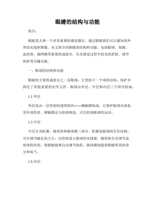 眼睛的结构与功能