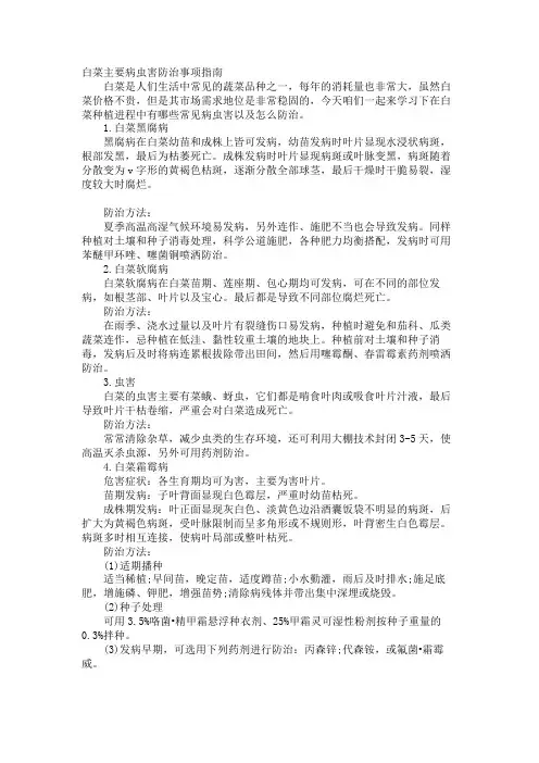白菜主要病虫害防治事项指南