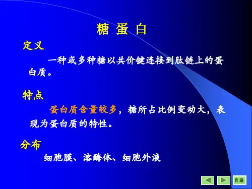 糖蛋白与蛋白聚糖课件共27页