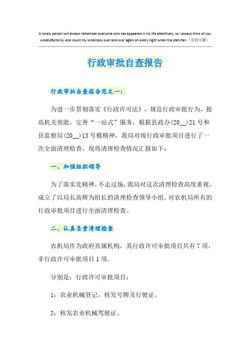 行政审批自查报告