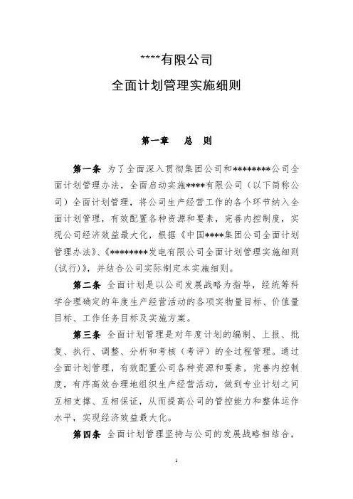 全面计划管理实施细则