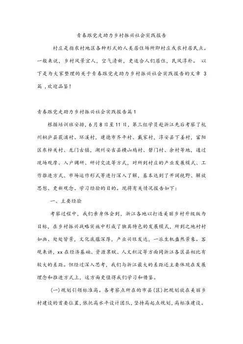 青春跟党走助力乡村振兴社会实践报告
