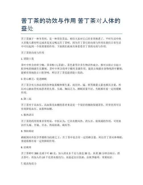 苦丁茶的功效与作用-苦丁茶对人体的益处