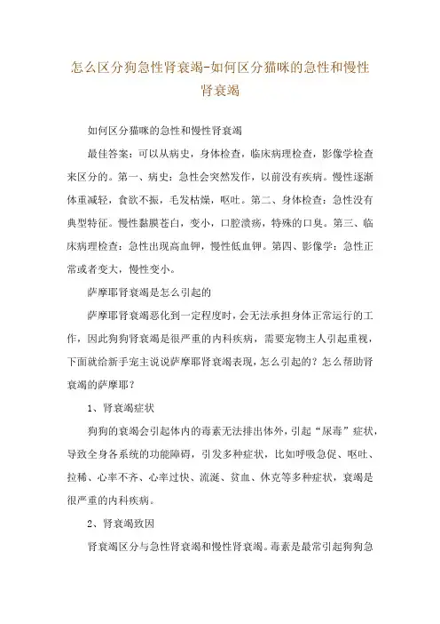 怎么区分狗急性肾衰竭-如何区分猫咪的急性和慢性肾衰竭