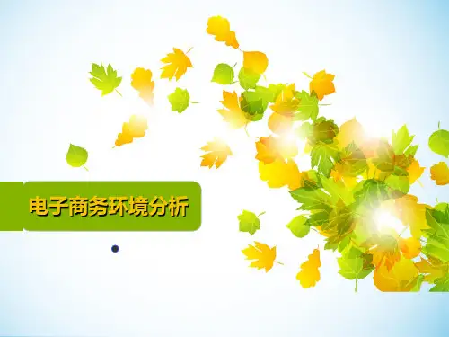 电子商务环境分析