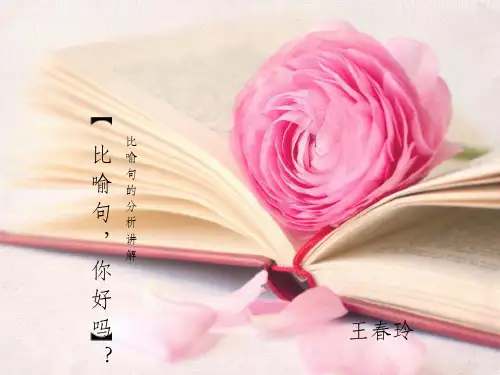 比喻句的讲解