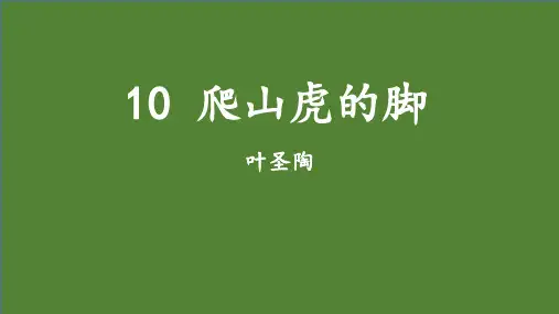 部编版语文四年级上册10《爬山虎的脚》课件(共13张PPT)