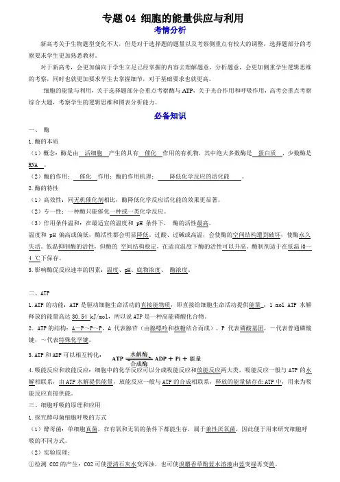 高考一轮复习生物全能讲练 专题04 细胞的能量供应与利用(含答案)