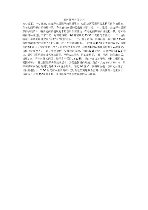 樟树播种育苗技术