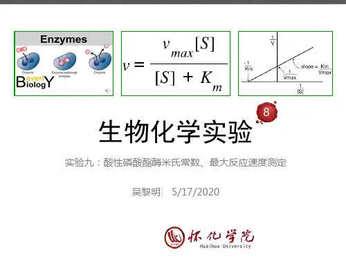 实验九：酸性磷酸酯酶米氏常数、最大反应速度测定