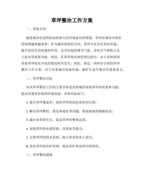 草坪整治工作方案