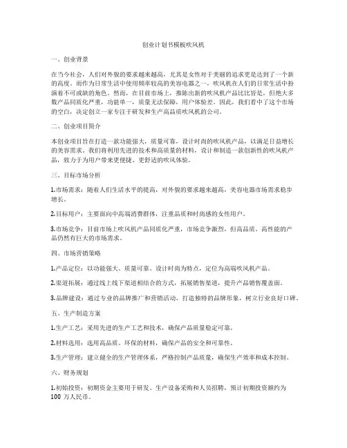 创业计划书模板吹风机