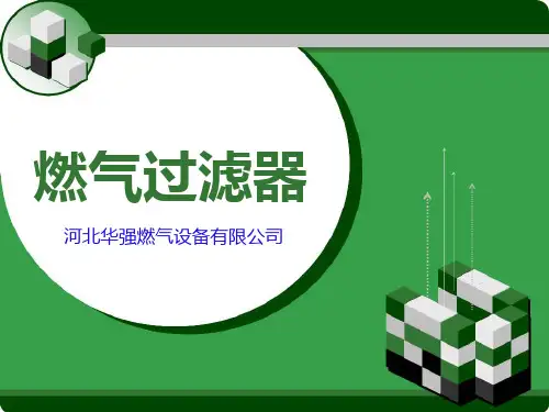 燃气过滤器 PPT课件