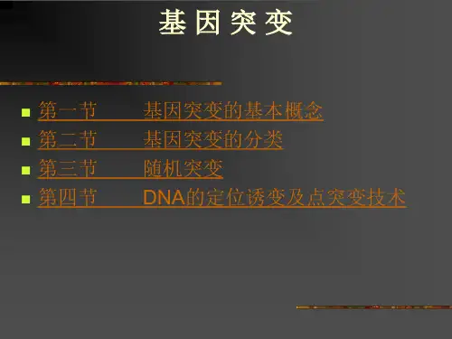 基因突变