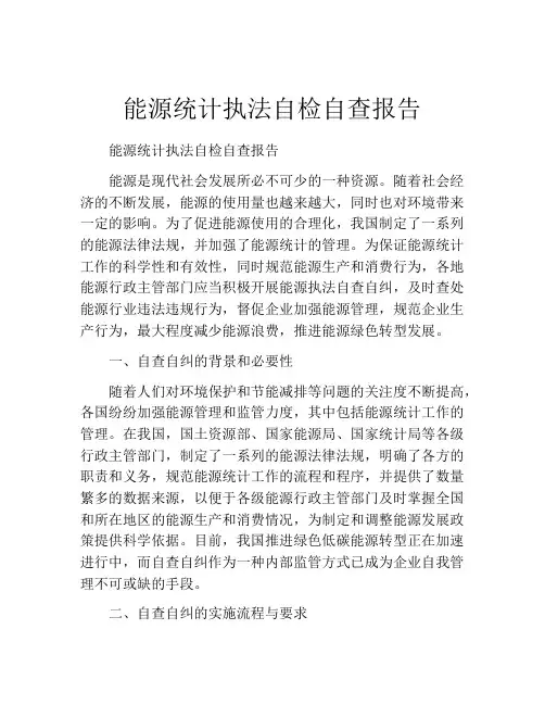 能源统计执法自检自查报告
