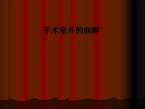 手术室外的麻醉PPT课件