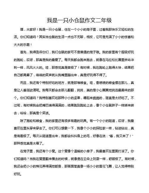 我是一只小仓鼠作文二年级