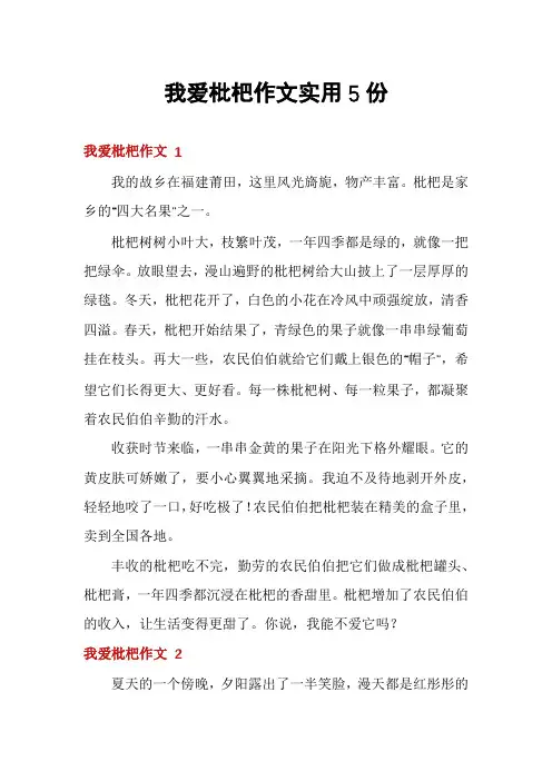 我爱枇杷作文实用5份