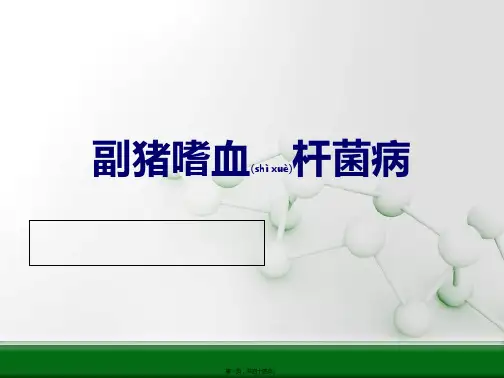 副猪嗜血杆菌病