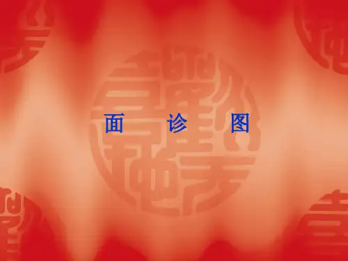 面诊图-_精品文档