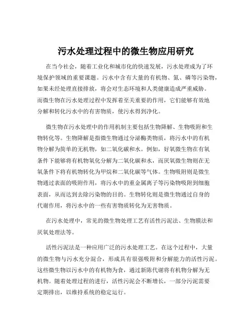 污水处理过程中的微生物应用研究