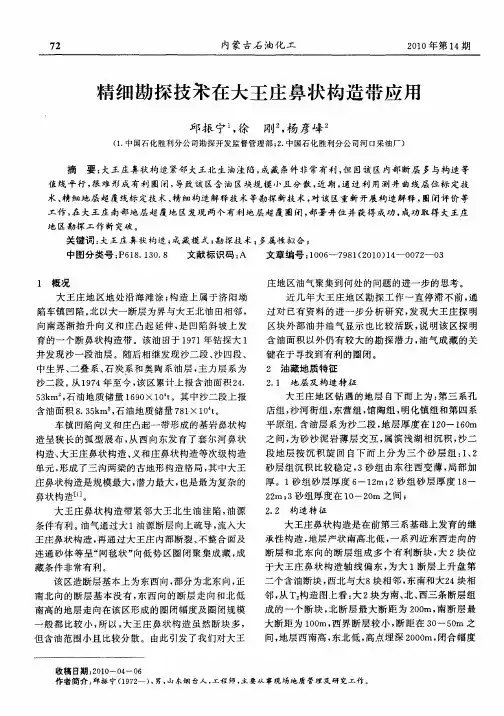 精细勘探技术在大王庄鼻状构造带应用