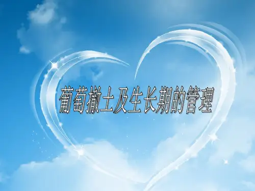 葡萄出土上架及生育期的管理