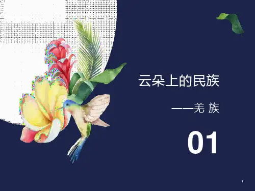 云朵上的民族-羌族