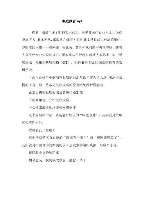 眼底报告sqd