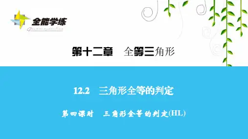 人教版数学八年级上册第四课时 三角形全等的判定(HL)课件