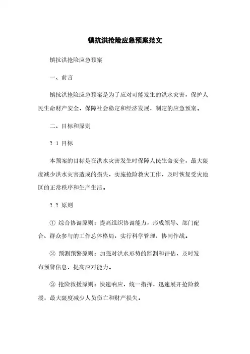 镇政府抗洪抢险应急预案范文