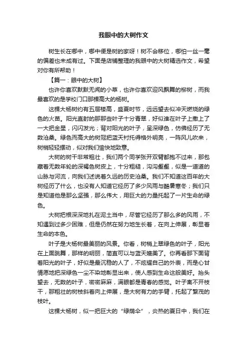 我眼中的大树作文
