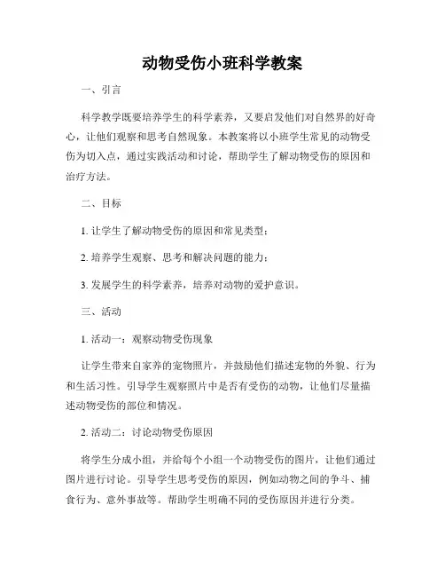 动物受伤小班科学教案
