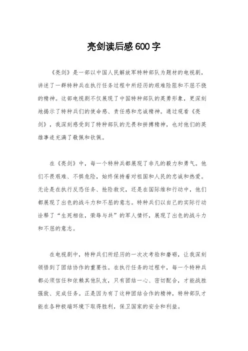 亮剑读后感600字